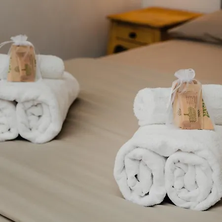 Garden In Center - Ambra Лугано